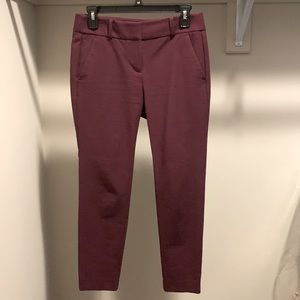 Loft 2P Maroon Dress Pant